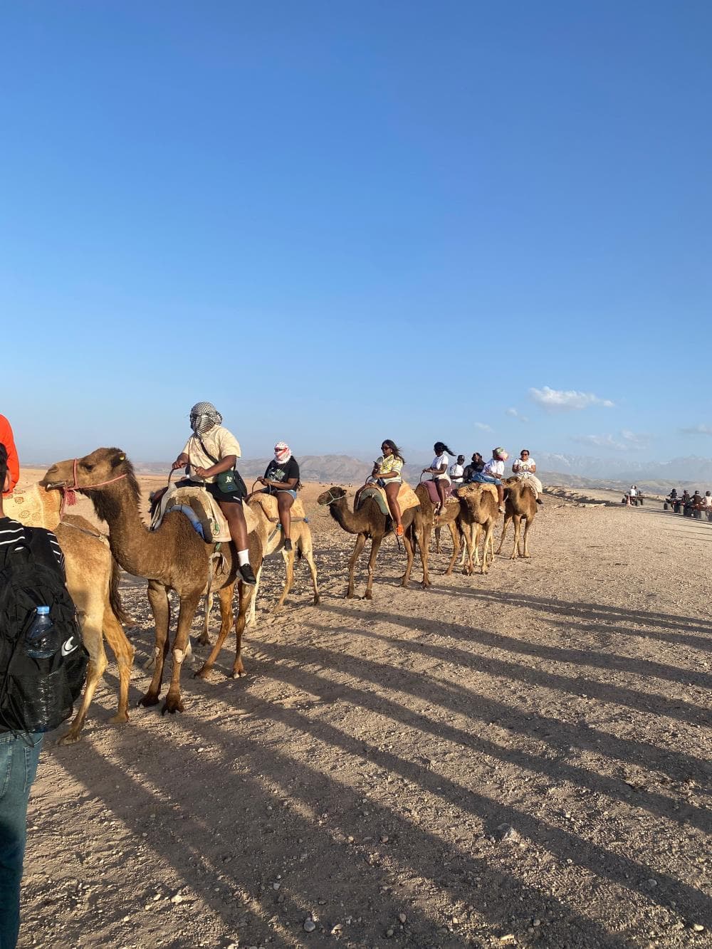 Agafay Desert & Atlas Mountains image 1